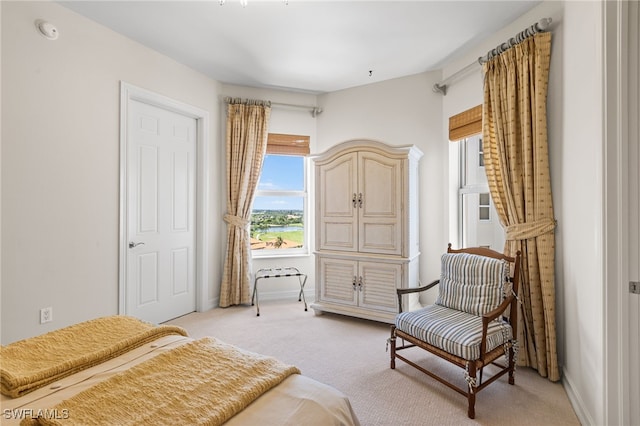 14270 Royal Harbour Ct Unit 920, Fort Myers, FL 33908 - bedroom with light carpet and baseboards