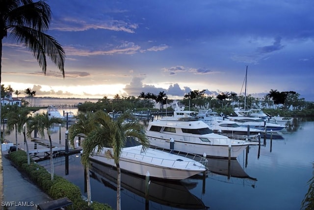 14270 Royal Harbour Ct Unit 920, Fort Myers, FL 33908 - dock featuring a water view