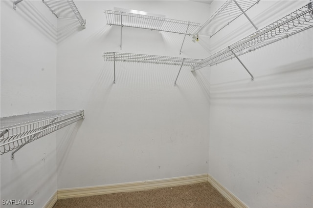 8380 Big Acorn Cir Unit 12A, Naples, FL 34119 - spacious closet featuring carpet
