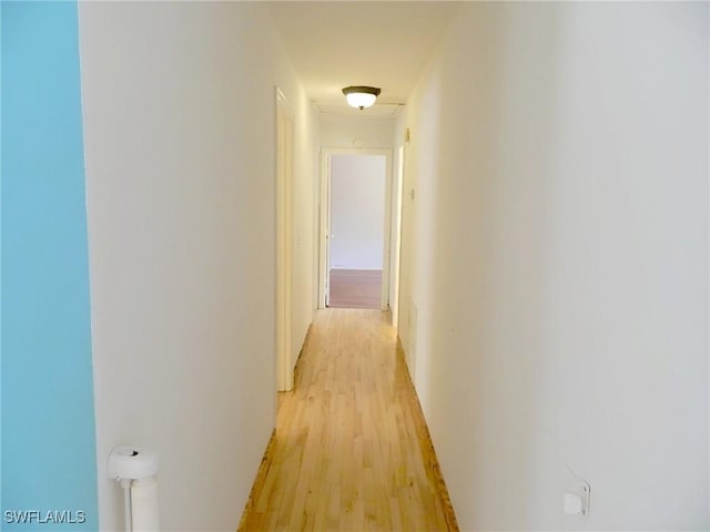 3611 8th Ave SE, Naples, FL 34117 - hallway with light wood-style floors