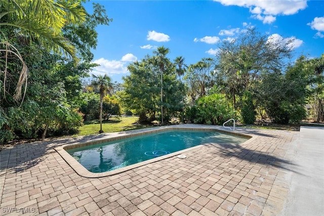 4440 15th Ave SW, Naples, FL 34116 - outdoor pool with a patio area and view of wooded area