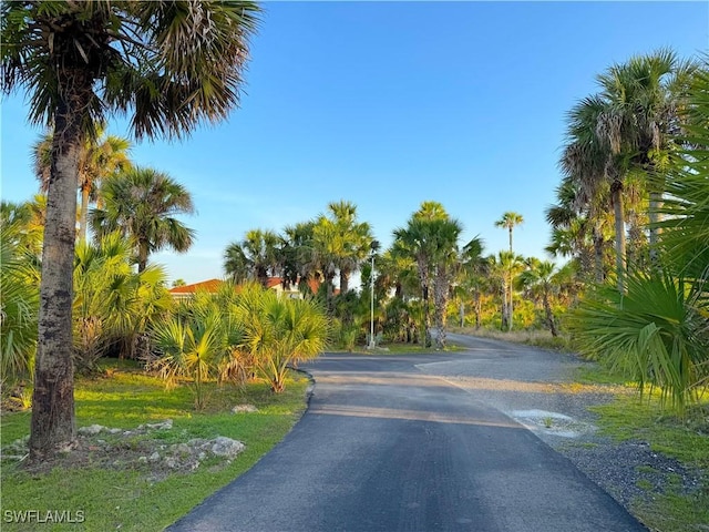 2640 36th Ave SE, Naples, FL 34117 - view of asphalt street
