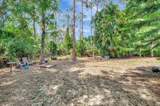 5251 Boxwood Way, Naples, FL 34116 - view of yard