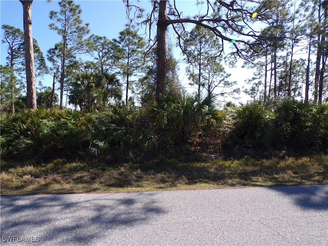 12070 Ashley Ave, Port Charlotte, FL 33981