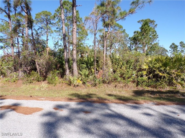 12070 Ashley Ave, Port Charlotte, FL 33981