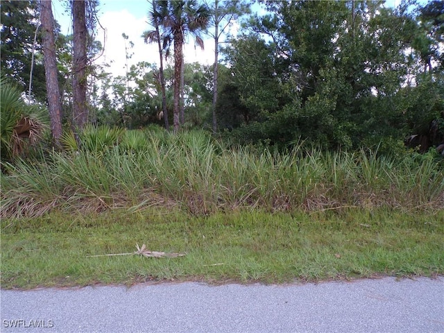 1569 Adalia Ter, Port Charlotte, FL 33953