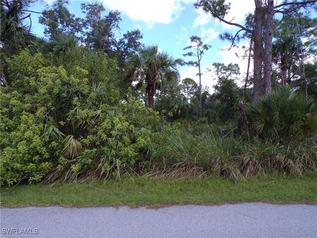 1569 Adalia Ter, Port Charlotte, FL 33953