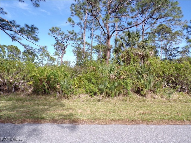 3142 Callisto St, Port Charlotte, FL 33981