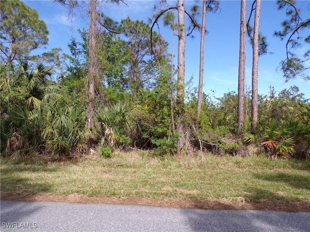 3142 Callisto St, Port Charlotte, FL 33981