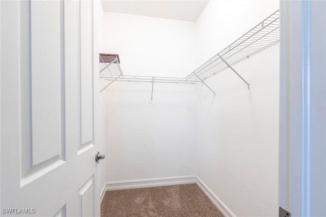 3905 Dunnster Ct, Fort Myers, FL 33916 - walk in closet featuring carpet