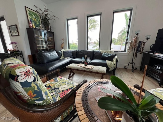 548 5th Ave, Marco Island, FL 34145 - living room featuring light wood-type flooring