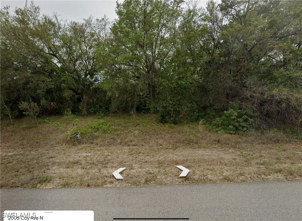 2005 Coy Ave N, Lehigh Acres, FL 33971