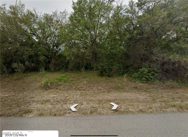 2005 Coy Ave N, Lehigh Acres, FL 33971