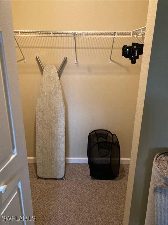6300 S Pointe Blvd Unit 316, Fort Myers, FL 33919 - walk in closet with carpet floors