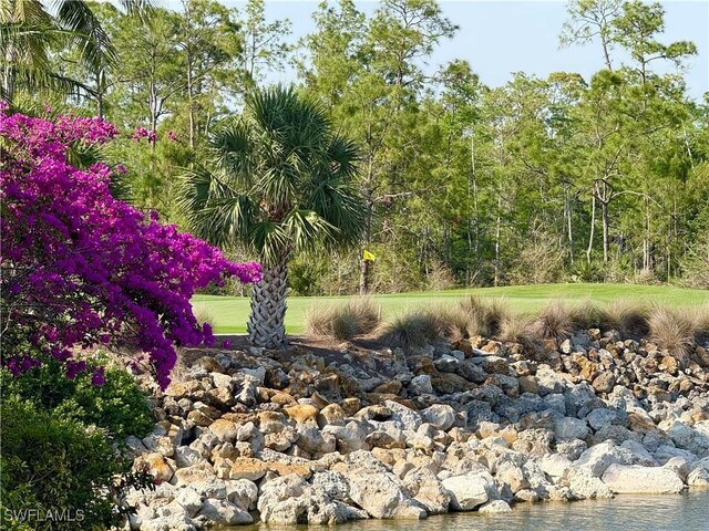 8736 Naples Heritage Dr, Naples, FL 34112 - view of yard