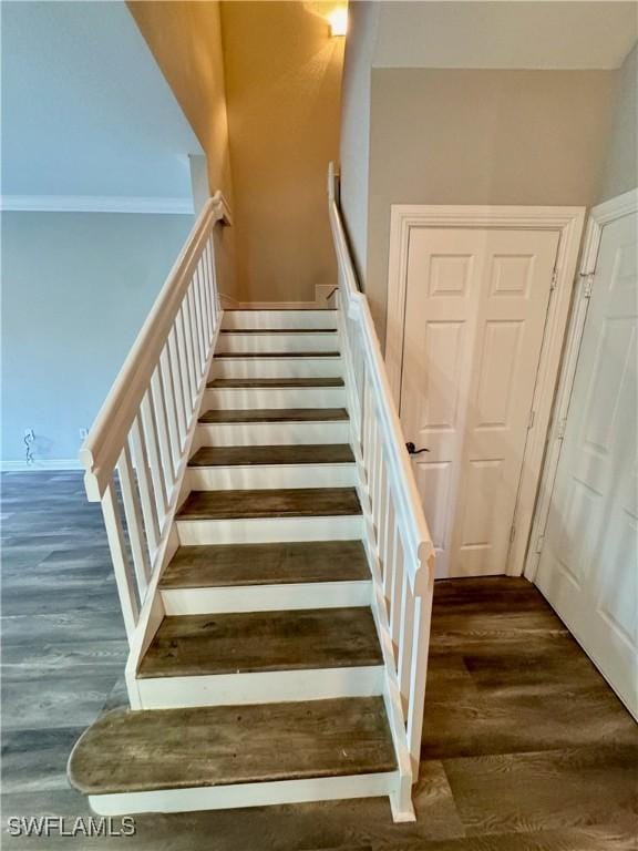 stairway featuring wood finished floors
