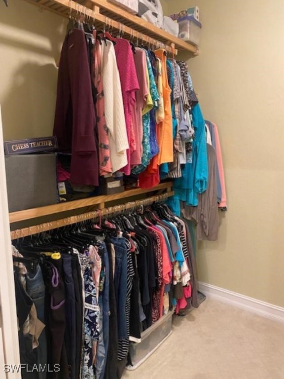 5015 Harbortown Ln Unit 204, Fort Myers, FL 33919 - walk in closet with carpet
