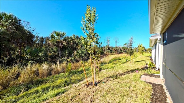 986 Enbrook Loop, Naples, FL 34114 - view of grassy yard