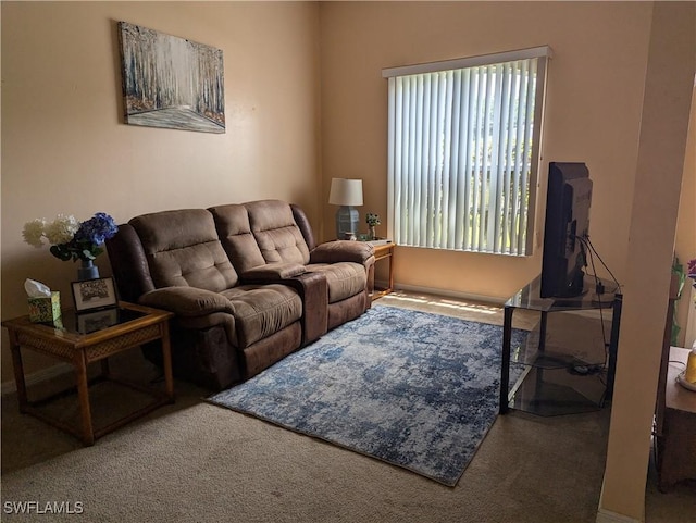 2543 Nature Pointe Loop, Fort Myers, FL 33905 - view of carpeted living area
