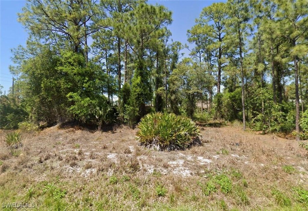 2442 Mae Ave S, Lehigh Acres, FL 33973