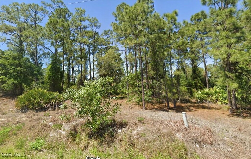 2442 Mae Ave S, Lehigh Acres, FL 33973
