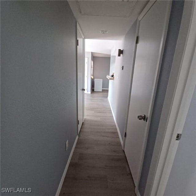 2925 Winkler Ave Unit 906, Fort Myers, FL 33916 - hall featuring wood finished floors and baseboards