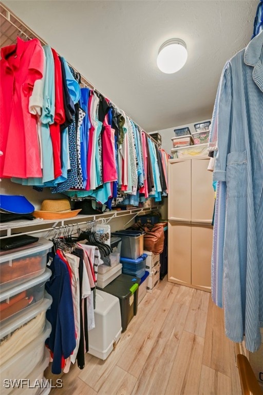 10016 Majestic Ave, Fort Myers, FL 33913 - spacious closet with wood finished floors