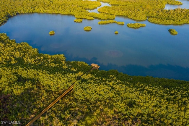 591 Audubon Blvd Unit B202, Naples, FL 34110 - bird's eye view of a nearby body of water and a forest