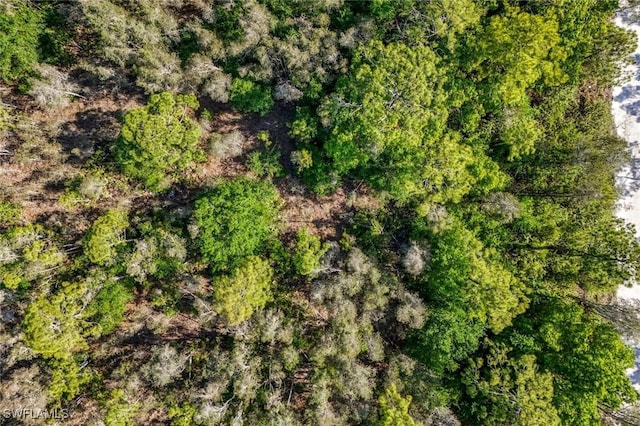 12571 Shawnee Rd, Fort Myers, FL 33913