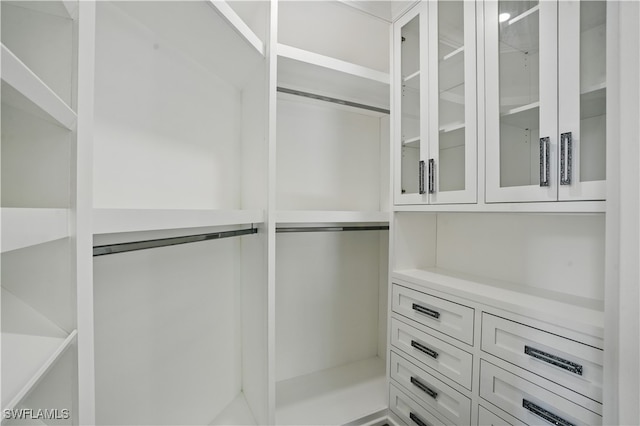 24721 Bay Bean Ct, Bonita Springs, FL 34134 - view of spacious closet