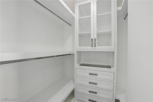 24721 Bay Bean Ct, Bonita Springs, FL 34134 - view of walk in closet
