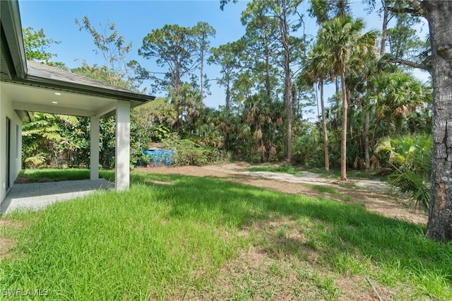 5015 Placid Ln, Labelle, FL 33935 - view of yard