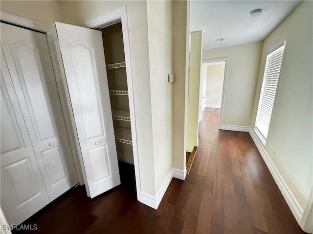 25560 Springtide Ct, Bonita Springs, FL 34135 - corridor featuring baseboards and dark wood-style flooring