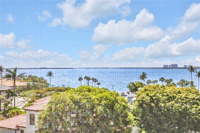 14819 Laguna Dr Unit 403, Fort Myers, FL 33908 - photo 4