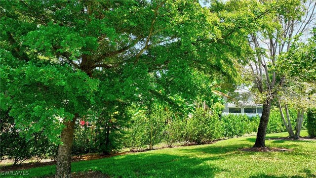 2842 Via Piazza Loop, Fort Myers, FL 33905 - view of green lawn