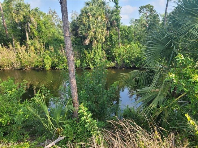 31 Wilmington Pkwy, Cape Coral, FL 33993 - photo 2