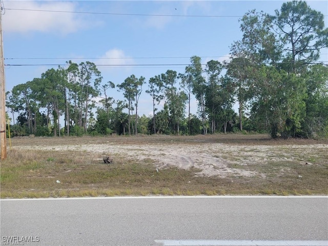 31 Wilmington Pkwy, Cape Coral, FL 33993 - photo 4