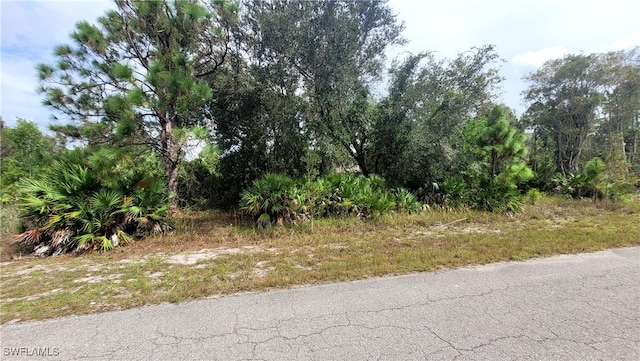 443 Jaipur Dr, Lehigh Acres, FL 33974