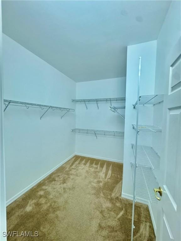 12635 Stone Tower Loop, Fort Myers, FL 33913 - walk in closet featuring carpet flooring