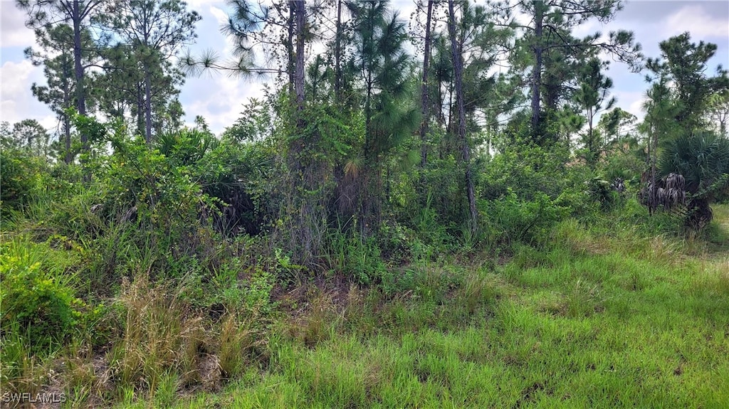 735 Ontario Ave S, Lehigh Acres, FL 33974