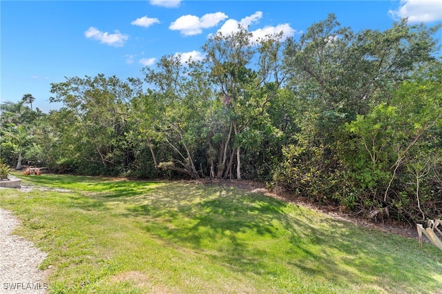 3001 Sandpiper Bay Cir Unit B103, Naples, FL 34112 - view of green lawn