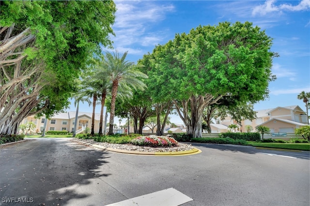 773 Wiggins Lake Dr Unit 101, Naples, FL 34110 - view of asphalt road featuring a residential view and curbs