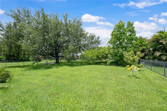 725 Grove Dr, Naples, FL 34120 - view of yard