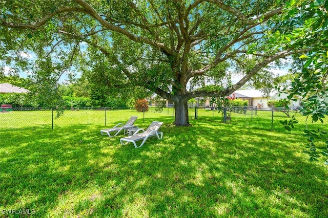 725 Grove Dr, Naples, FL 34120 - view of yard
