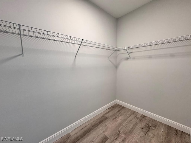 spacious closet featuring wood finished floors