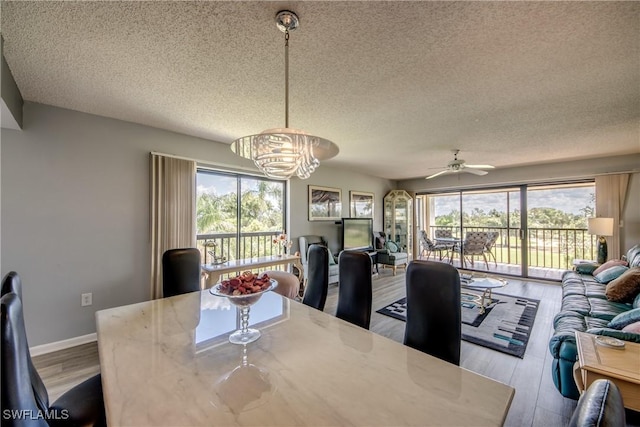 6979 Winkler Rd Unit 131, Fort Myers, FL 33919 - dining space with a textured ceiling, wood finished floors, a chandelier, a ceiling fan, and baseboards