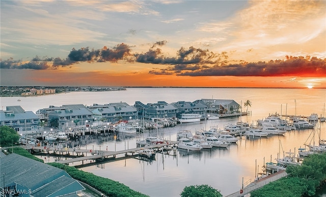250 Bangsberg Rd SE, Port Charlotte, FL 33952 - water view with a dock and a marina