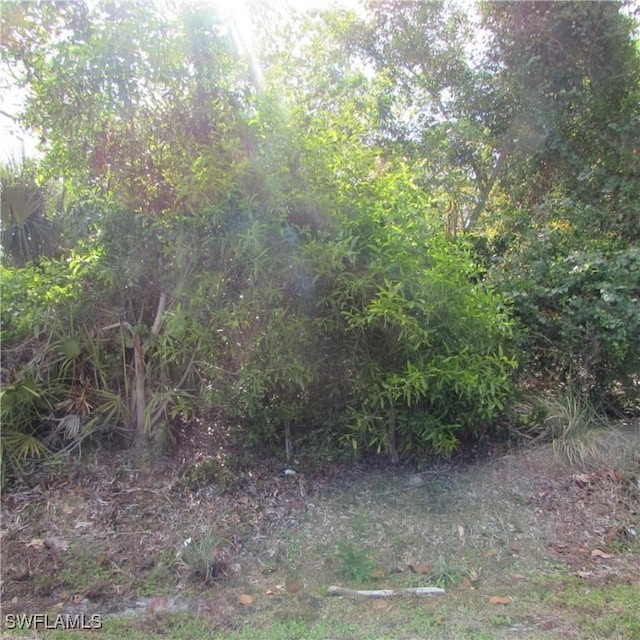 12348 Dolphin Rd, Bokeelia, FL 33922