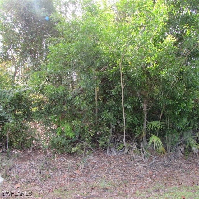 12348 Dolphin Rd, Bokeelia, FL 33922