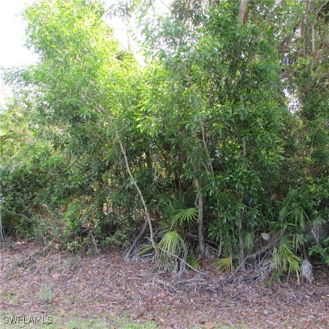 12348 Dolphin Rd, Bokeelia, FL 33922